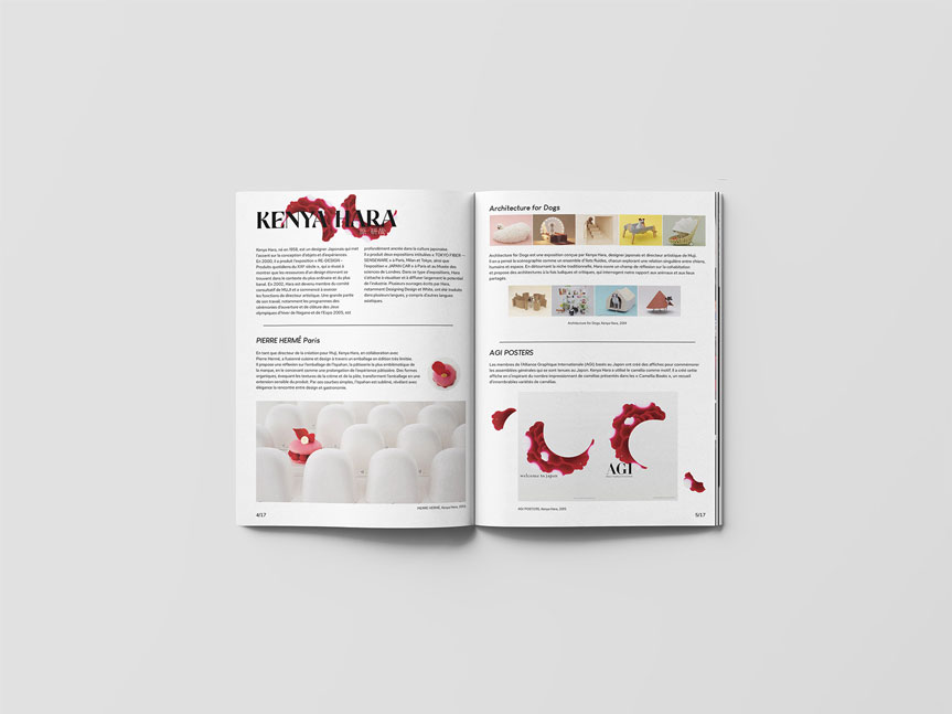 Mockup de la double page